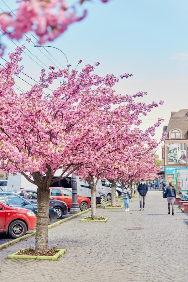 Готель Тячів ภายนอก รูปภาพ